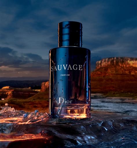 sella logata dior|Sauvage Parfum Dior cologne .